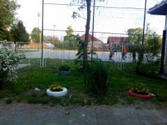 IMG_20180424_185556.jpg